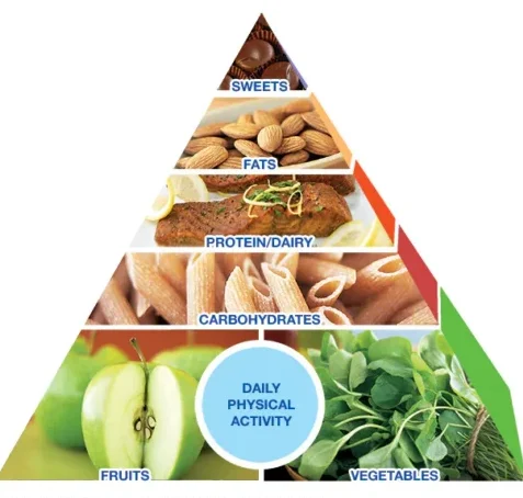 Four Key Pillars of Weight Loss, Pillars of Weight Loss, proper nutrition, adequate sleep, healthy levels of exercise, emotional health care, Weight Loss Journey